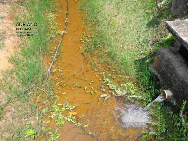 #CH0700 - Chácara para Venda em Itapeva - MG - 3