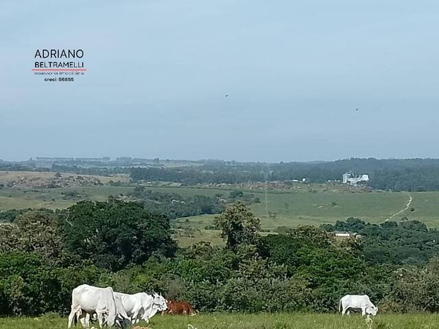 #FA0767 - Fazenda para Venda em Indaiatuba - SP - 3