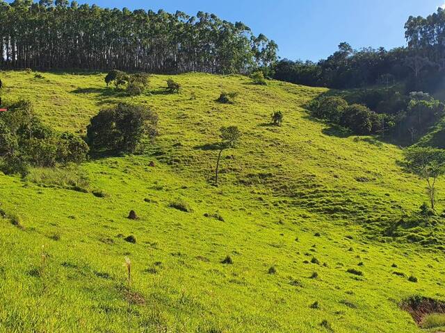 Área Rural para Venda em Natividade da Serra - 4
