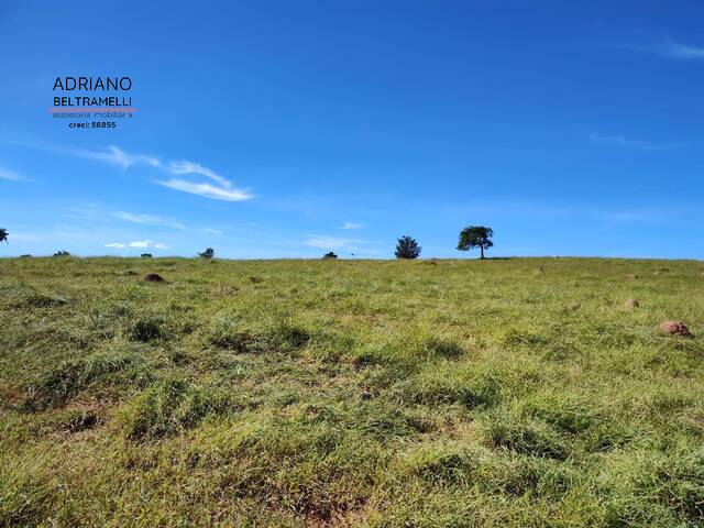 Área Rural para Venda em Itapira - 4