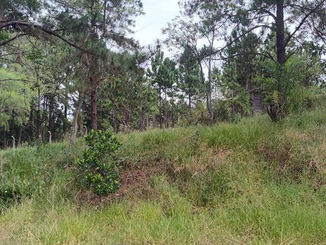 Área Rural para Venda em Vinhedo - 5