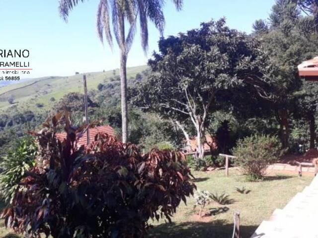 Sítio para Venda em Tuiuti - 4