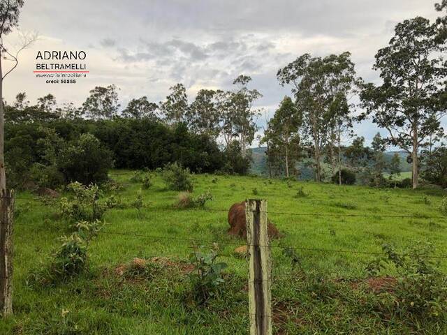 #AR0196 - Área Rural para Venda em Campinas - SP - 3