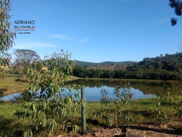Venda em Centro - Amparo
