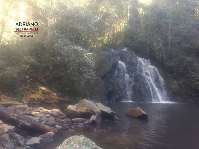 Fazenda para Venda em Amparo - 4
