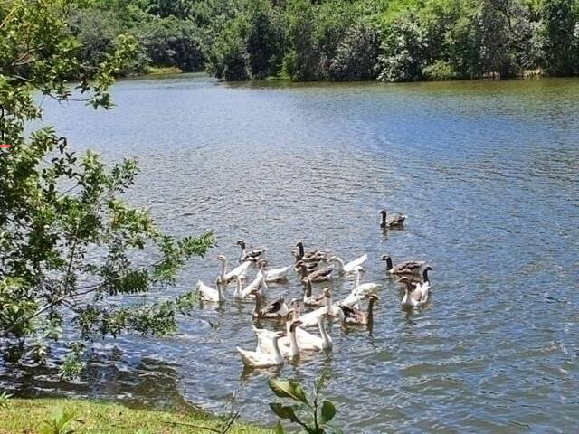 Terreno em Condomínio para Venda em Campinas - 5
