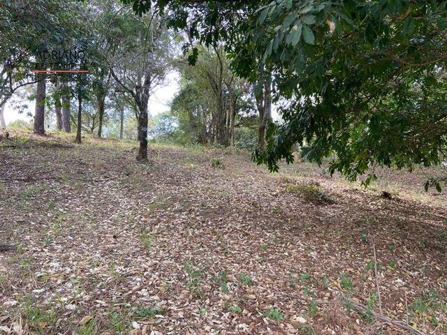 #TE0045 - Terreno em Condomínio para Venda em Campinas - SP - 2