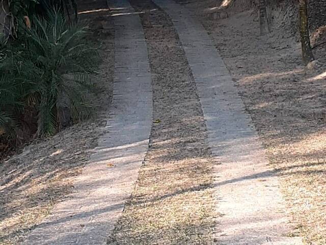 Sítio para Venda em Campinas - 4