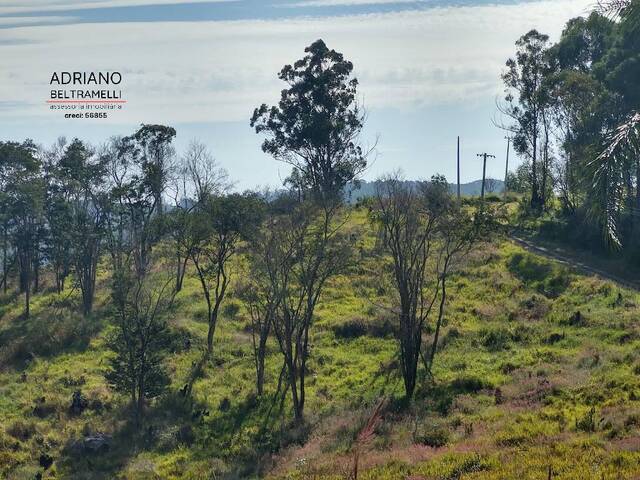 #TE0640 - Terreno em Condomínio Rural para Venda em Campinas - SP - 3