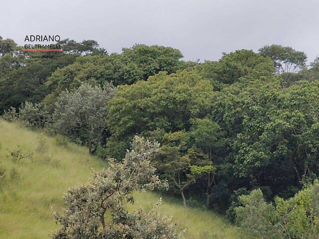 Área Rural para Venda em Campinas - 4