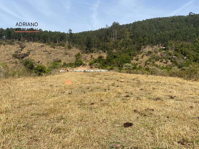 Sítio para Venda em Morungaba - 5