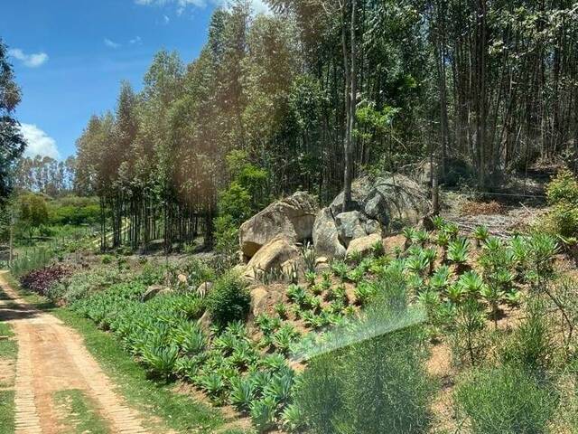 Sítio para Venda em Campinas - 5