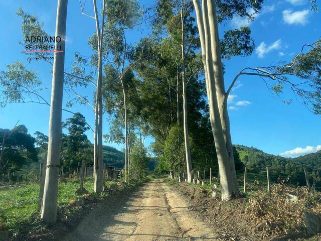 Fazenda para Venda em Pedreira - 5