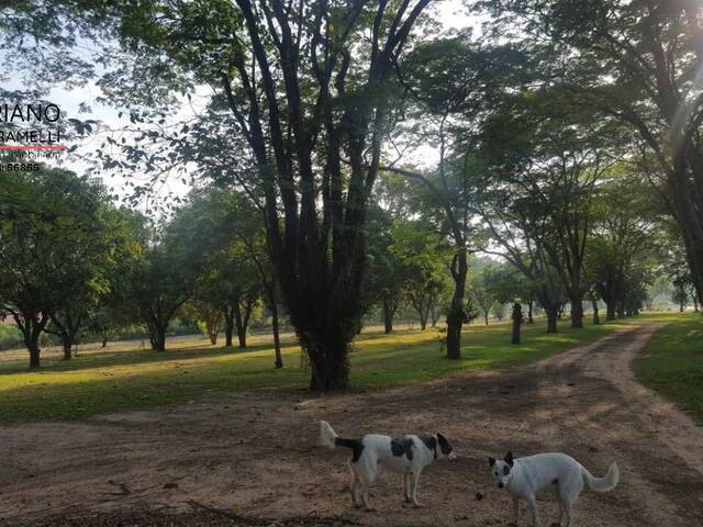 #SI0691 - Sítio para Venda em Boituva - SP