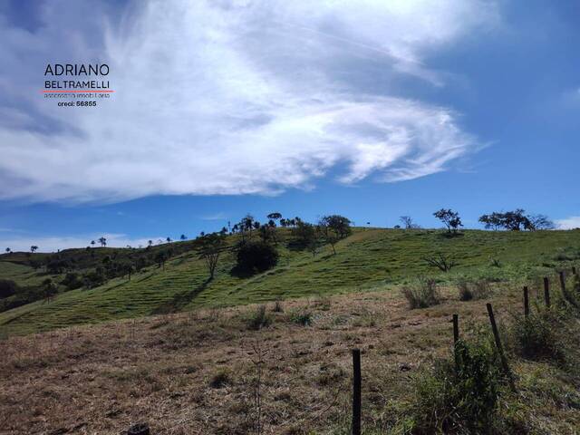 Fazenda para Venda em Itapira - 5
