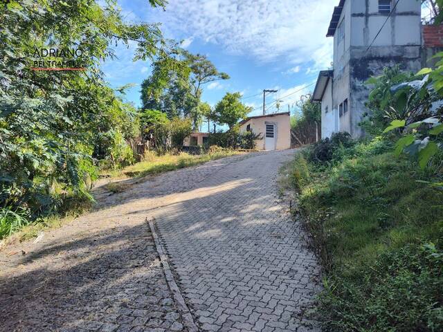 Sítio para Venda em Vinhedo - 4