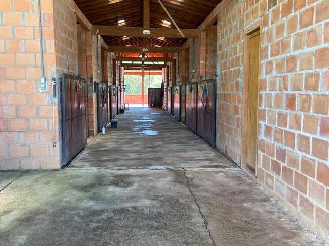 Haras para Venda em Campinas - 4