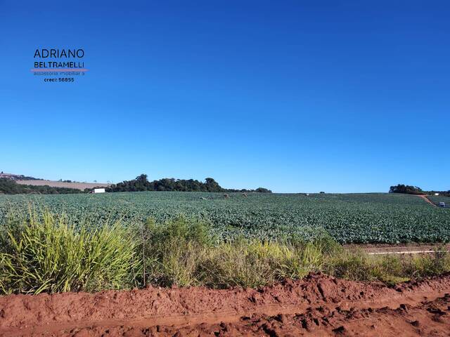 #FA0713 - Fazenda para Venda em Munhoz - MG - 1