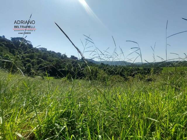 #TE0154 - Terreno em Condomínio Rural para Venda em Campinas - SP - 3