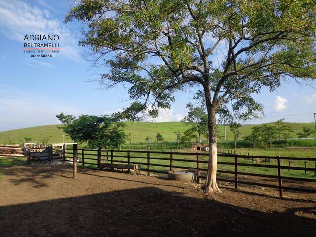 #FA0725 - Fazenda para Venda em Cachoeira Paulista - SP - 3