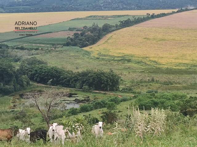 #FA0728 - Fazenda para Venda em Serra Negra - SP