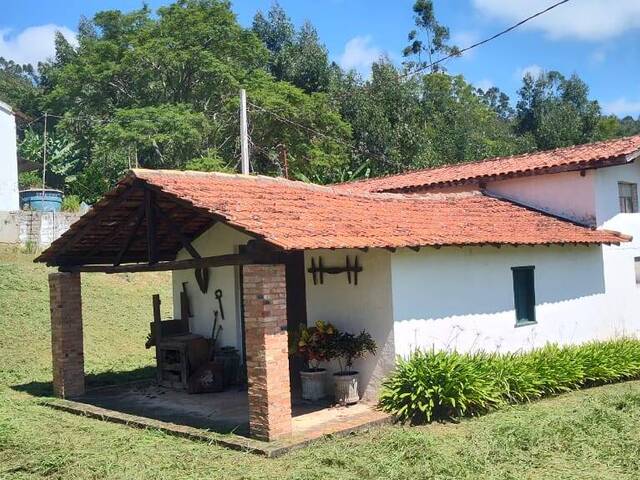 Fazenda para Venda em Amparo - 4