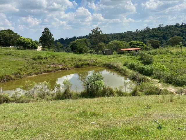 #AR0736 - Área Rural para Venda em Campinas - SP - 3