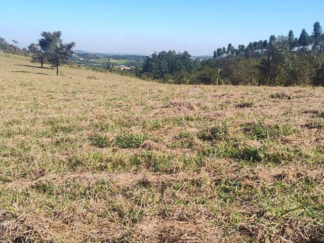 Área Rural para Venda em Campinas - 5