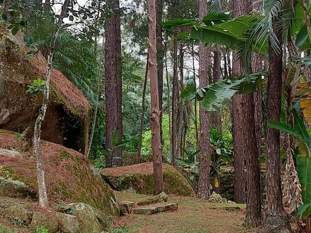 #SI0744 - Sítio para Venda em Pedreira - SP - 2