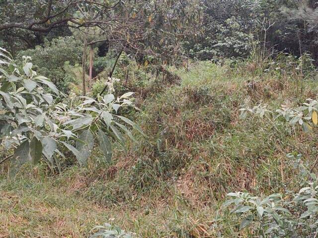 Terreno em Condomínio para Venda em Campinas - 5
