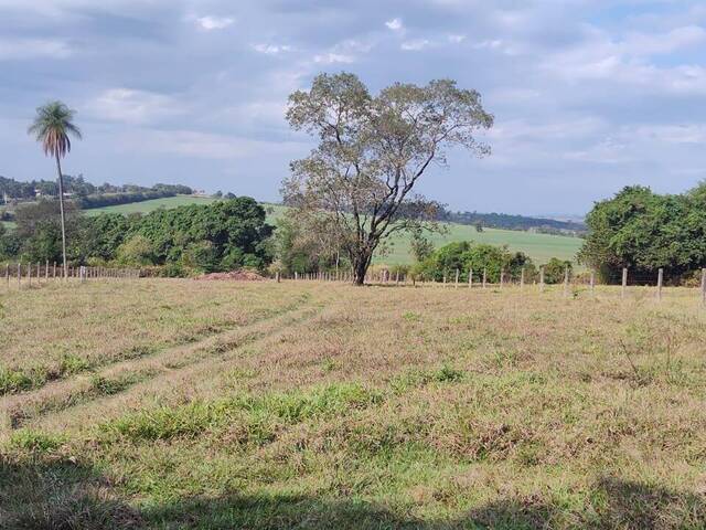 Chácara para Venda em Jaguariúna - 5