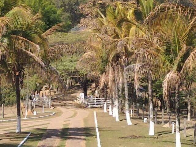 Sítio para Venda em Campinas - 4