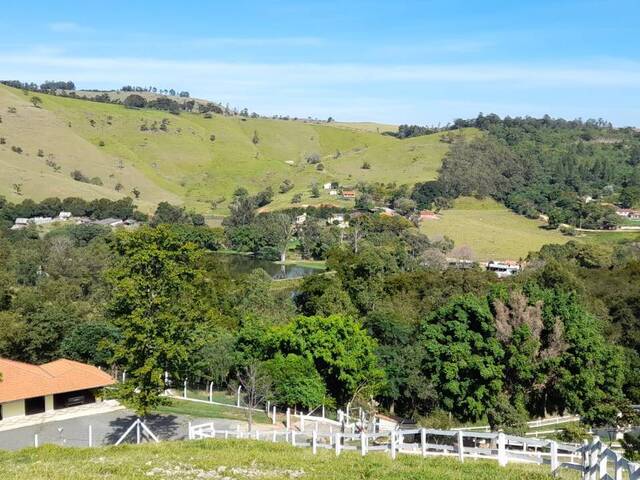 Haras para Venda em Amparo - 4