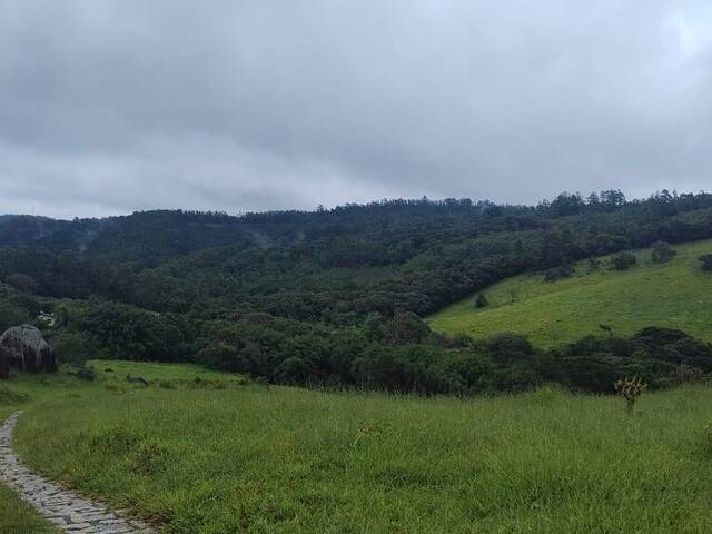 Sítio para Venda em Amparo - 5