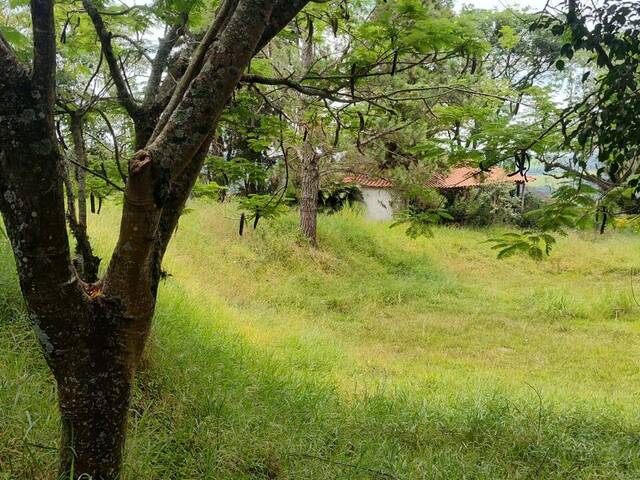 Sítio para Venda em Vinhedo - 4