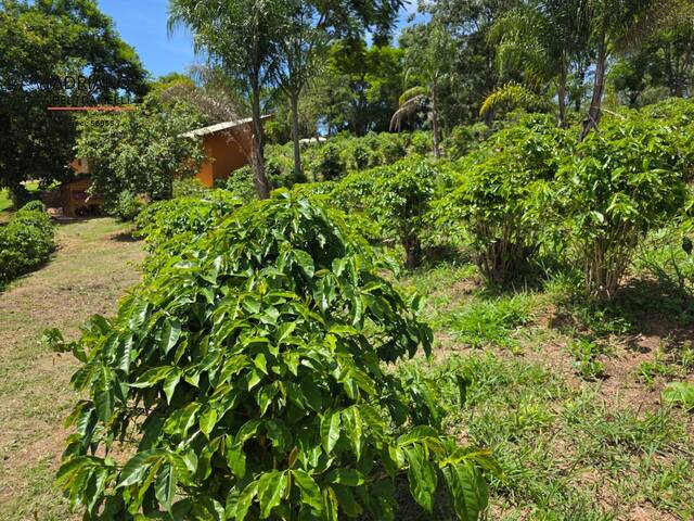 Terreno em Condomínio Rural para Venda em Campinas - 5