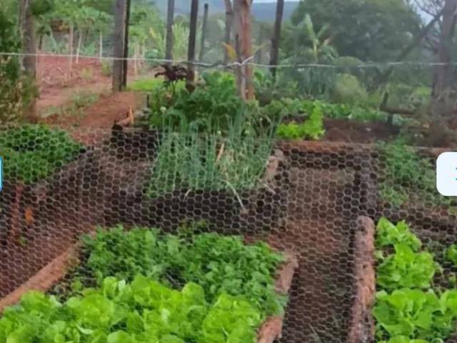 #SI0809 - Sítio para Venda em Itatiba - SP - 3