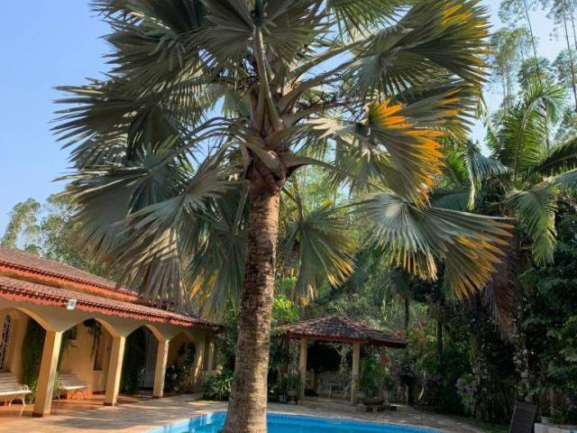 #SI0810 - Sítio para Venda em Jundiaí - SP - 1