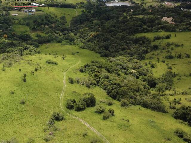 #TE0642 - Terreno em Condomínio Rural para Venda em Campinas - SP