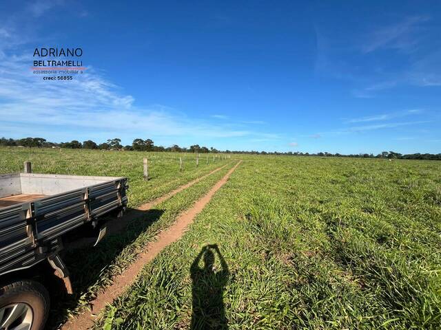 #FA0811 - Chácara para Venda em Bataguassu - MS