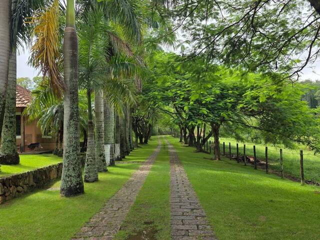 #816 - Sítio para Venda em Itatiba - SP - 2