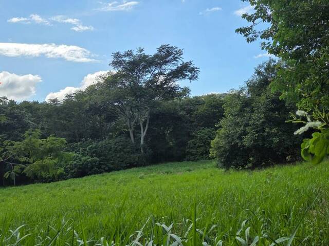 Terreno em Condomínio Rural para Venda em Campinas - 5