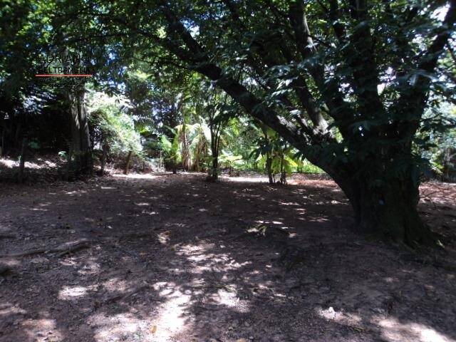 #TE0075 - Terreno para Venda em Campinas - SP - 2