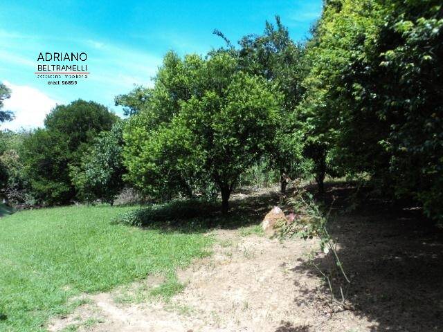 #TE0075 - Terreno para Venda em Campinas - SP - 1