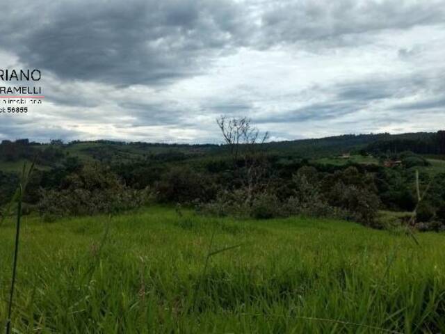 #SI0015 - Sítio para Venda em Campinas - SP - 3