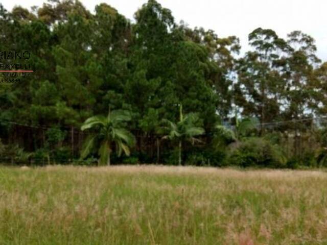 #SI0015 - Sítio para Venda em Campinas - SP - 2