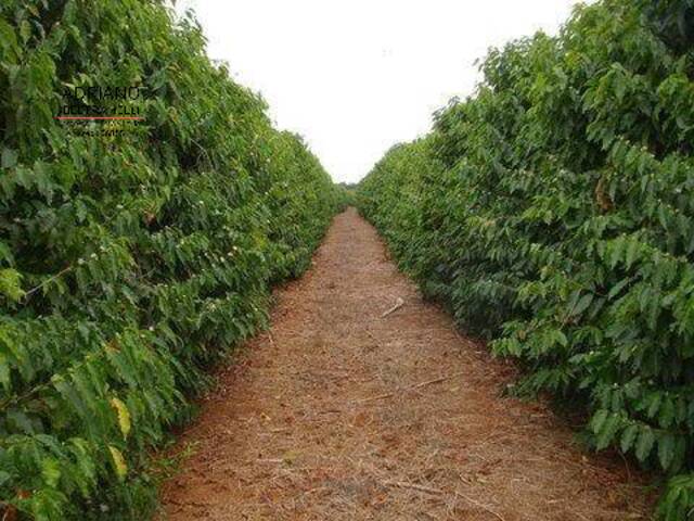Fazenda para Venda em Novo Cruzeiro - 5
