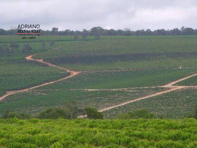 Fazenda para Venda em Novo Cruzeiro - 4