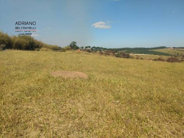 #AR0177 - Área Rural para Venda em Campinas - SP - 3