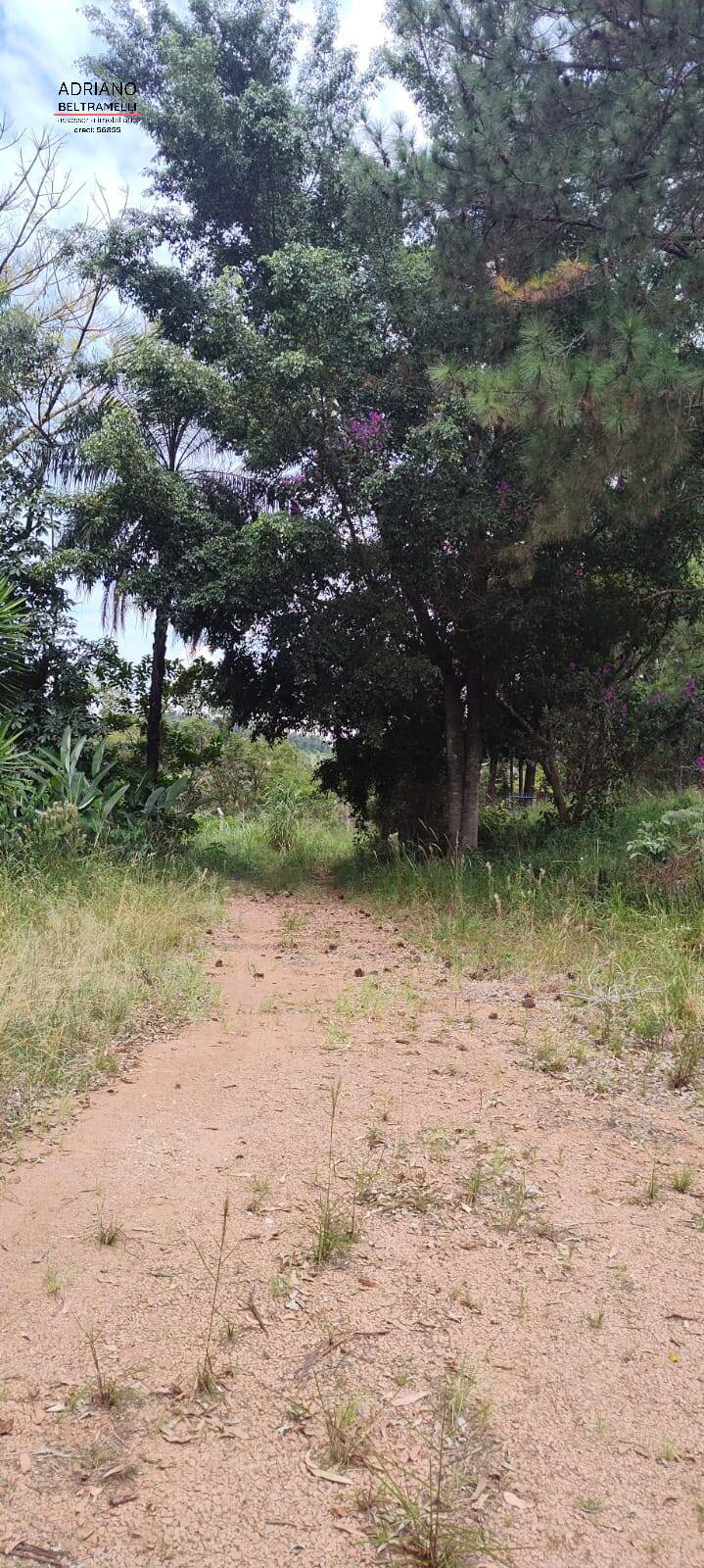 Chácara à venda com 4 quartos, 60000m² - Foto 6